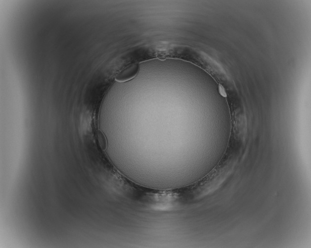 X0000116580225200912171530