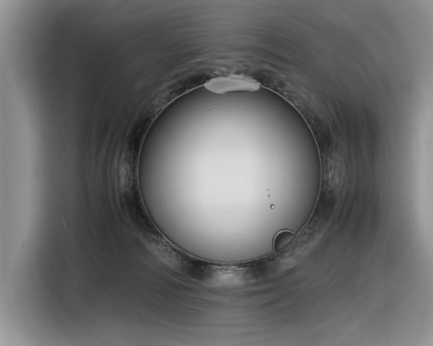 X0000116580226200912171530