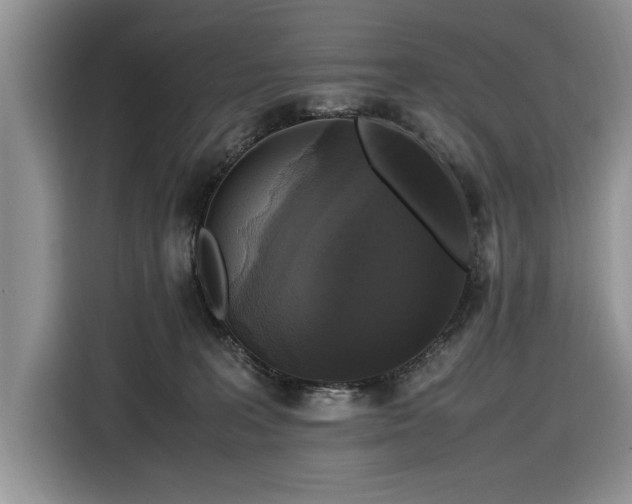 X0000116580227200912171530