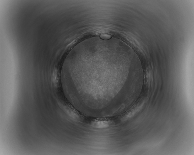 X0000116580228200912171530