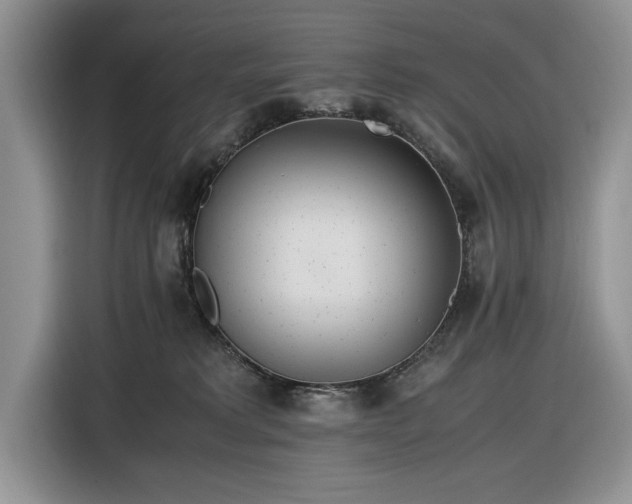 X0000116580229200912171530