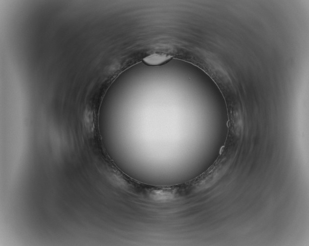 X0000116580232200912171530