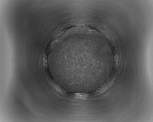 X0000116580234200912171530