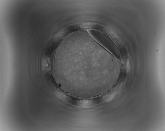 X0000116580237200912171530