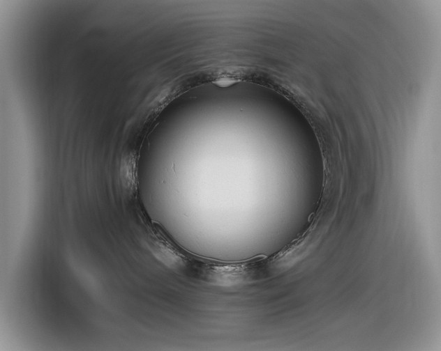 X0000116580240200912171530