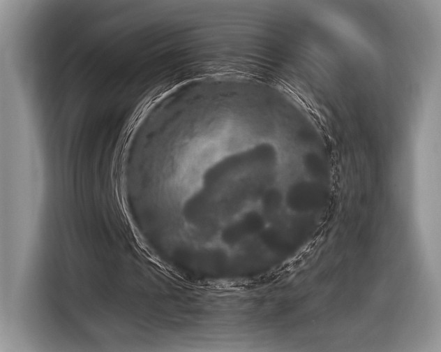 X0000116580241200912171529