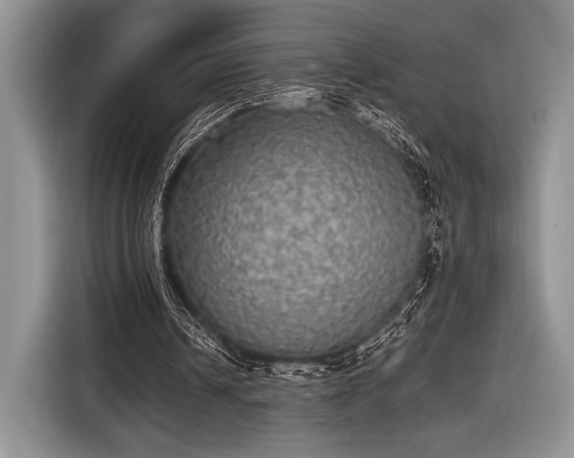 X0000116580242200912171529