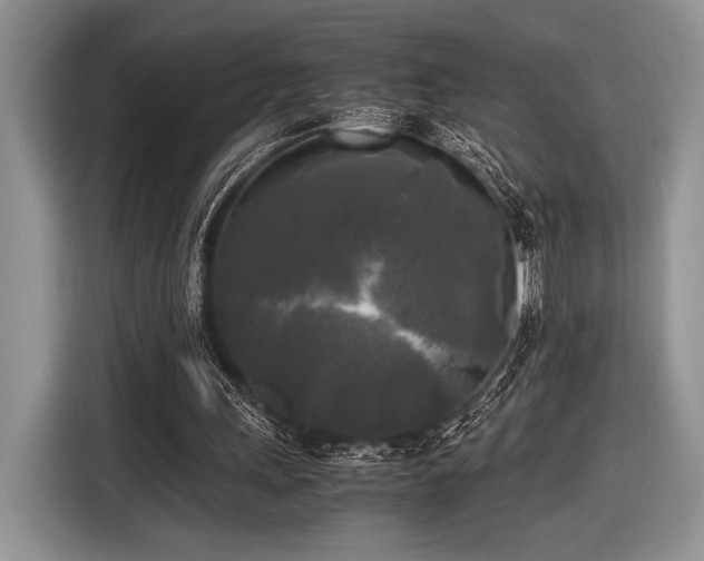 X0000116580243200912171529