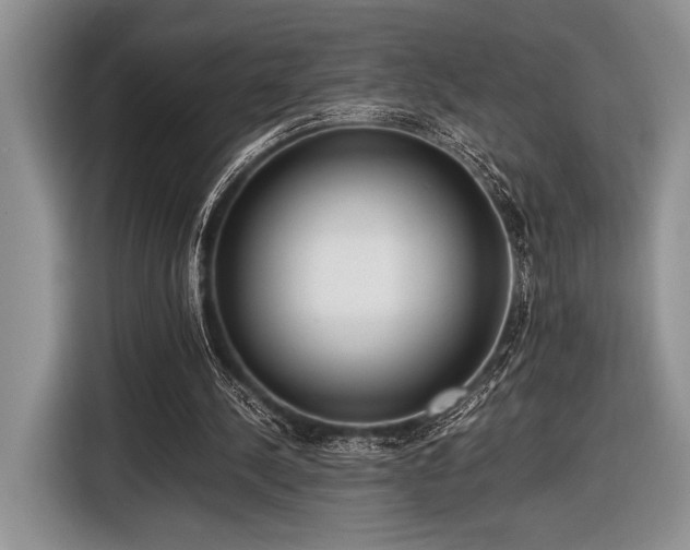 X0000116580244200912171529