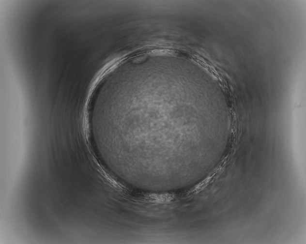 X0000116580245200912171529