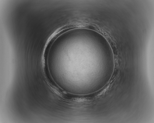 X0000116580246200912171529