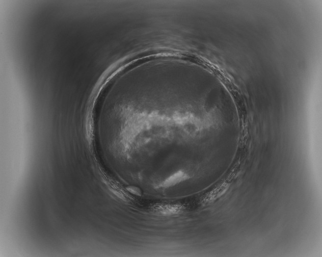 X0000116580247200912171529