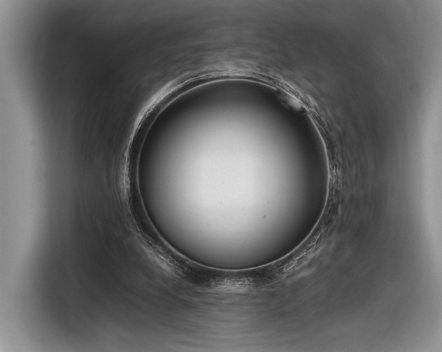 X0000116580248200912171529