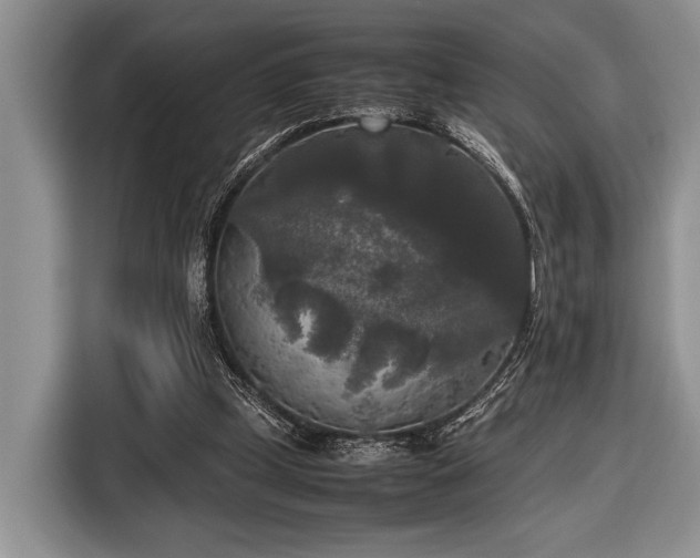 X0000116580249200912171529