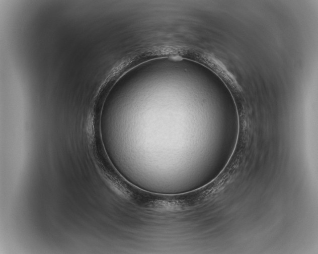 X0000116580250200912171529