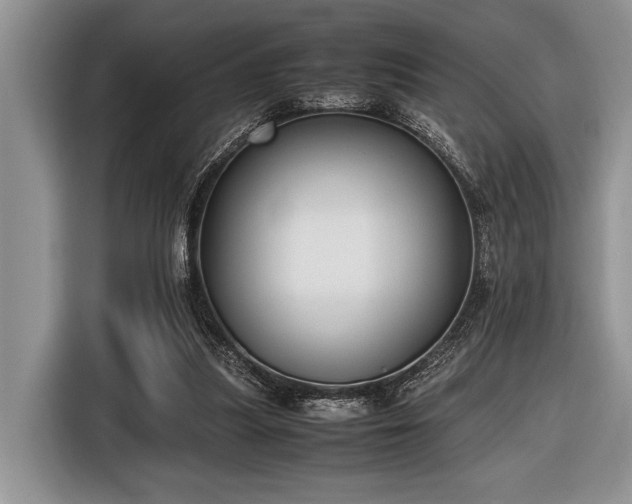 X0000116580251200912171529