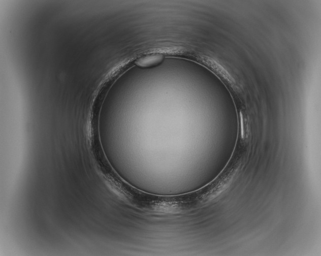 X0000116580252200912171529