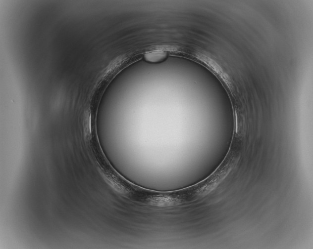 X0000116580253200912171529