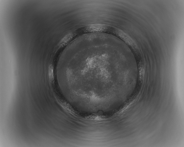 X0000116580254200912171529