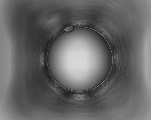 X0000116580255200912171529