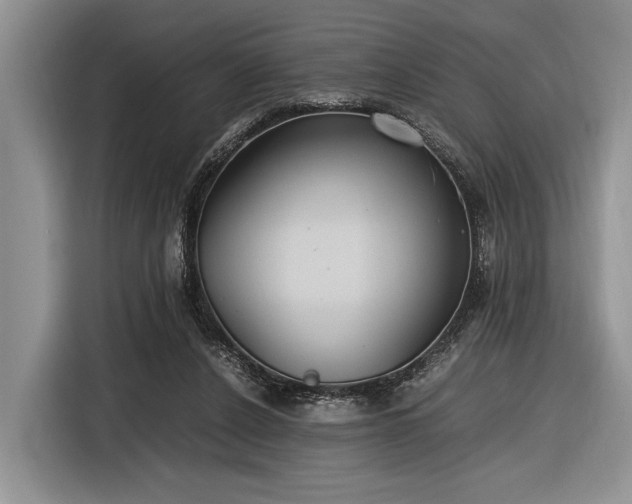 X0000116580256200912171529