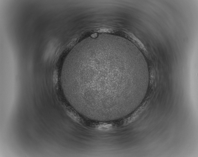 X0000116580257200912171529