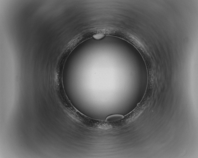 X0000116580258200912171529