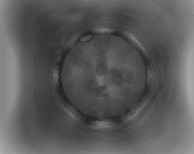 X0000116580259200912171529