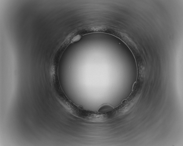 X0000116580260200912171529