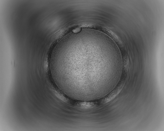 X0000116580261200912171529