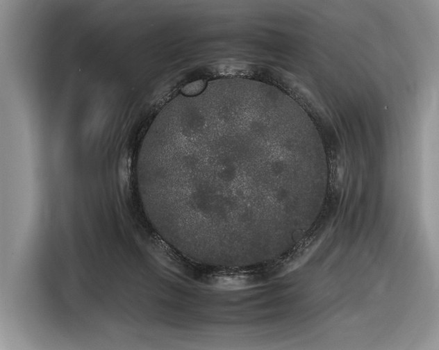 X0000116580263200912171529