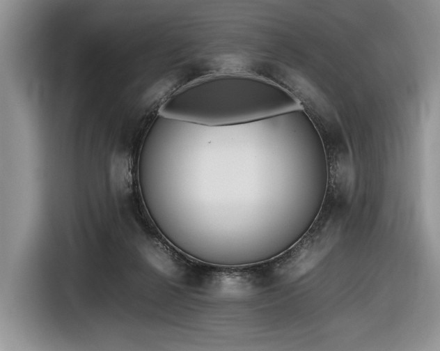 X0000116580264200912171530