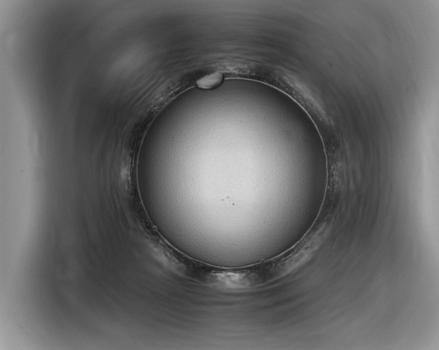 X0000116580265200912171530