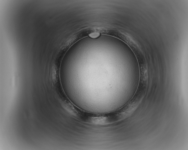 X0000116580266200912171530