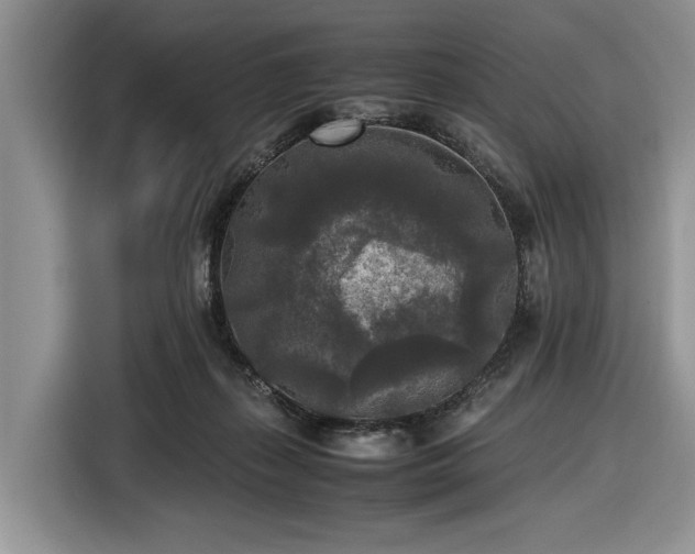 X0000116580267200912171530