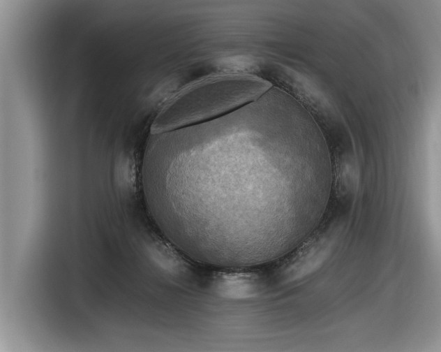 X0000116580268200912171530