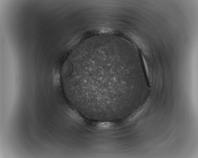 X0000116580269200912171530