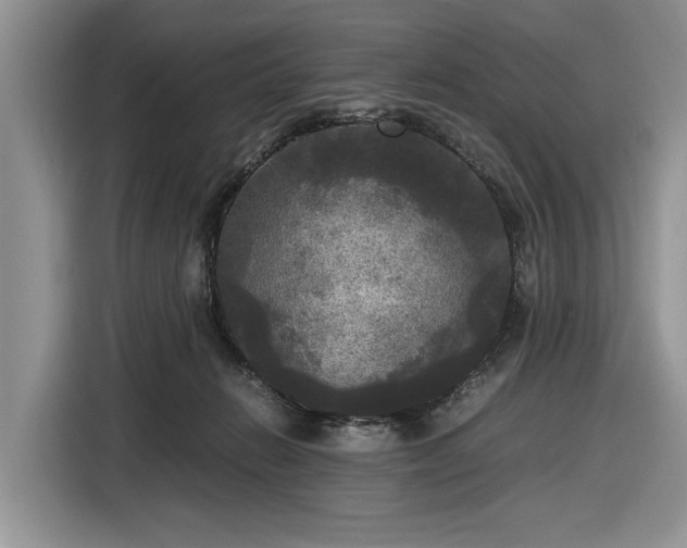 X0000116580270200912171530