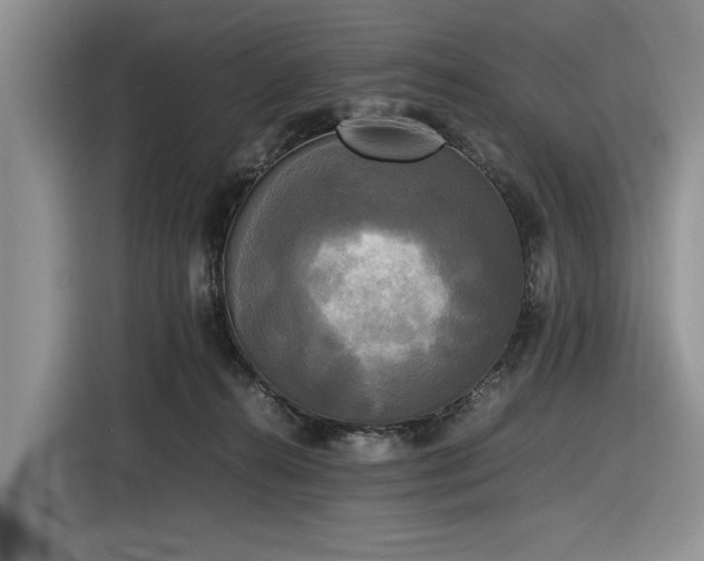 X0000116580272200912171530