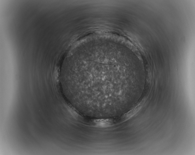 X0000116580273200912171530