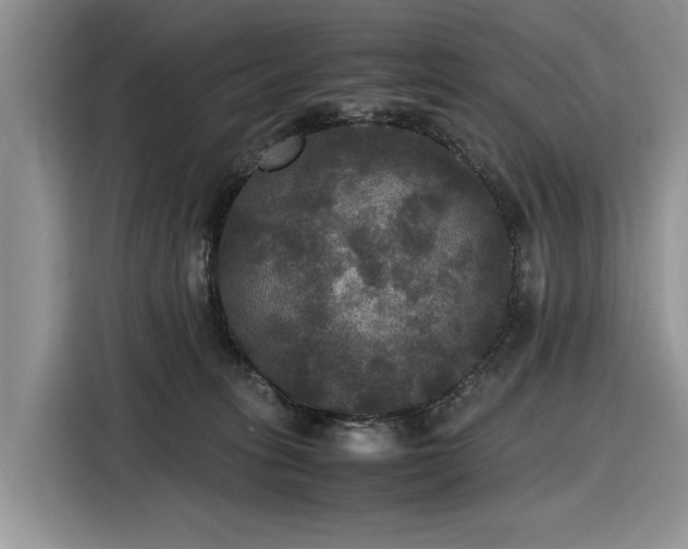 X0000116580275200912171530