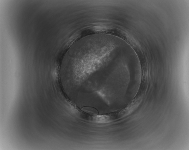 X0000116580277200912171530