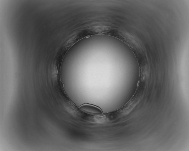 X0000116580279200912171530