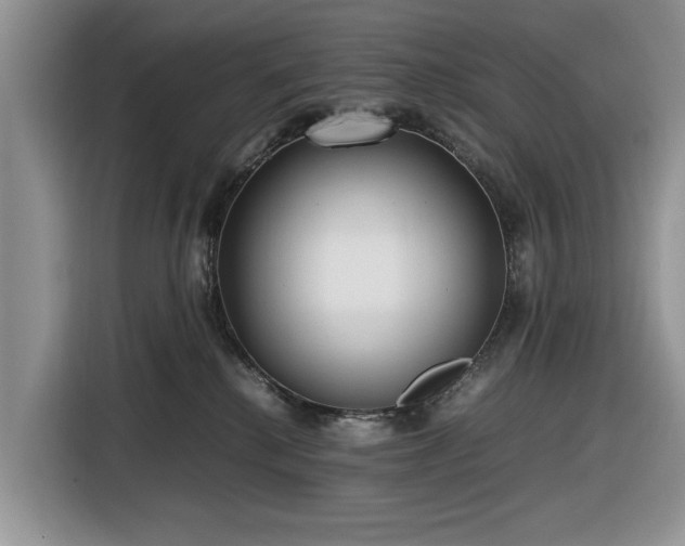 X0000116580280200912171530