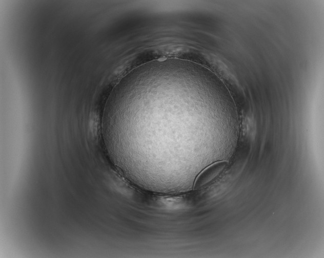 X0000116580283200912171530