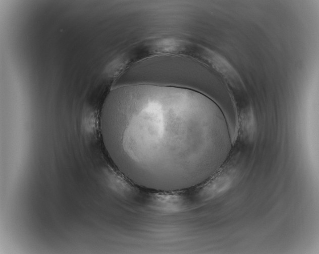 X0000116580284200912171530