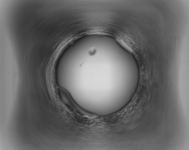 X0000116580289200912171529