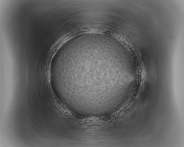 X0000116580290200912171529