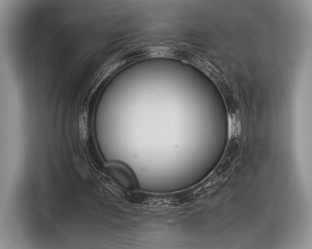 X0000116580291200912171529