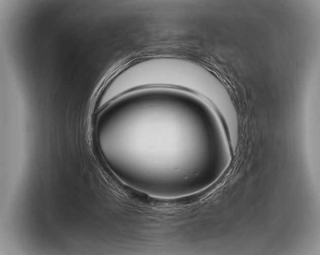 X0000116580293200912171529